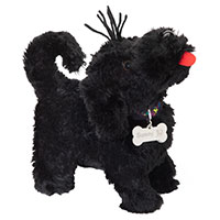 Sunny, der zauberhafte kleine Kuschel-Hund von perro negro!
