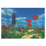 3D-Karte Blumenwiese (Rittersporn, Mohn, Margeriten)