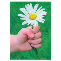 3D-Karte Hand mit Blume